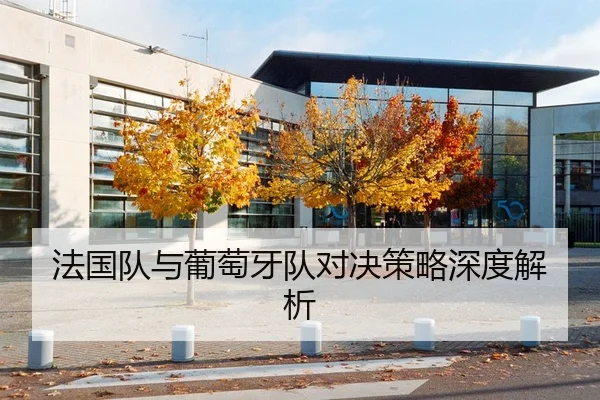 法国队与葡萄牙队对决策略深度解析
